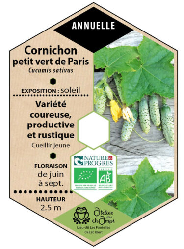 Cornichon petit vert de Paris