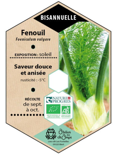 Fenouil